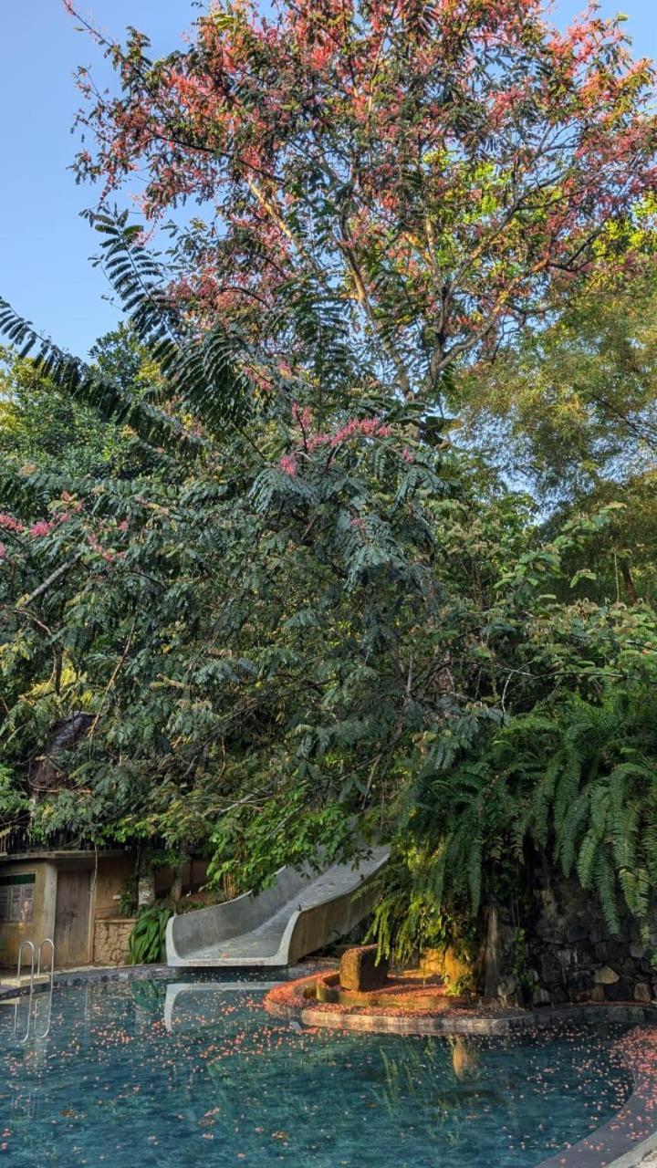 Leisure Land Bed & Breakfast Galle Oda fotoğraf